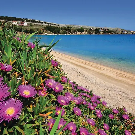 Gorgeous In Pag With Wifi Apartment Pag Town