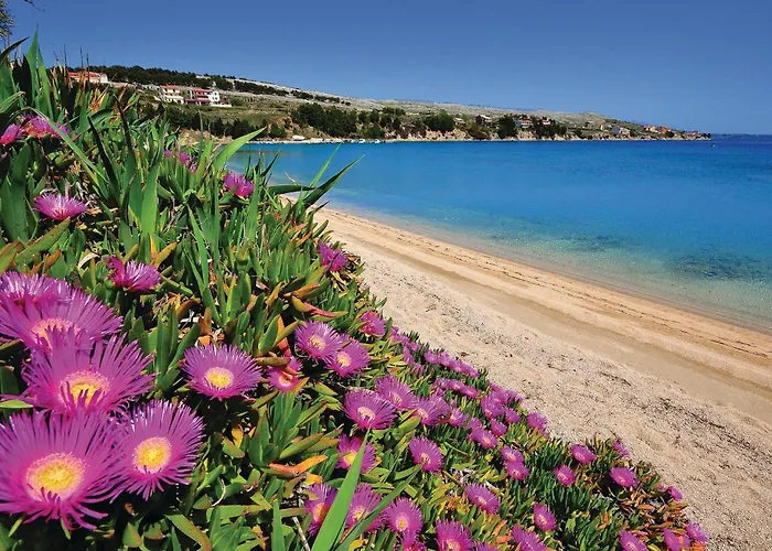 Gorgeous In Pag With Wifi Apartamento Pag Town